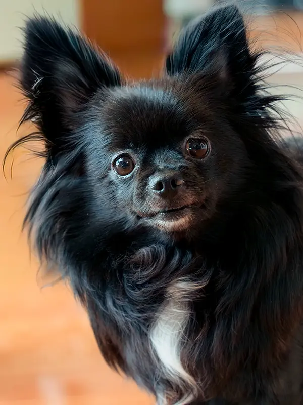 インスタグラムイメージ画像