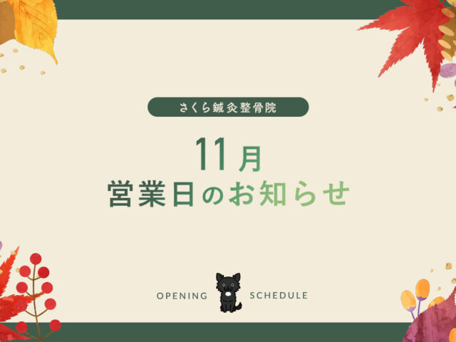 11月の営業日について