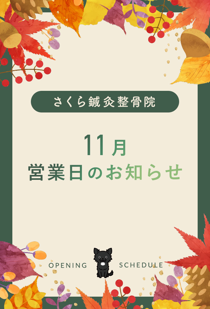 11月営業日のお知らせ（PC）